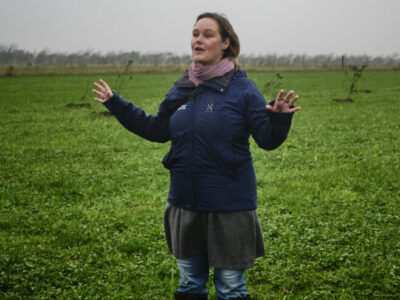Julie Rohde Birk manages Agroforestry Projects in the Danish Innovation Centre for Organic Farming and is a national delegate to EURAF. @Skovdyrkerne
