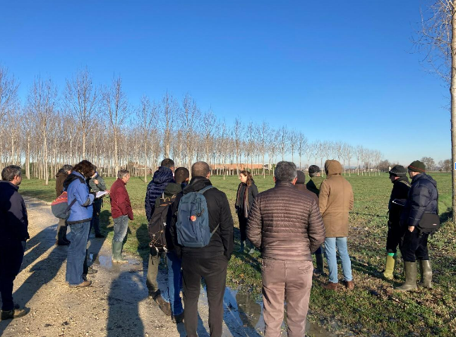 MSc specialisation and training courses on agroforestry systems in the NE of Italy