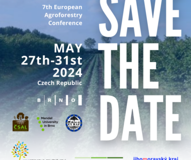 Save the Date 7th European Agroforestry Conference (Instagram Post (Square))