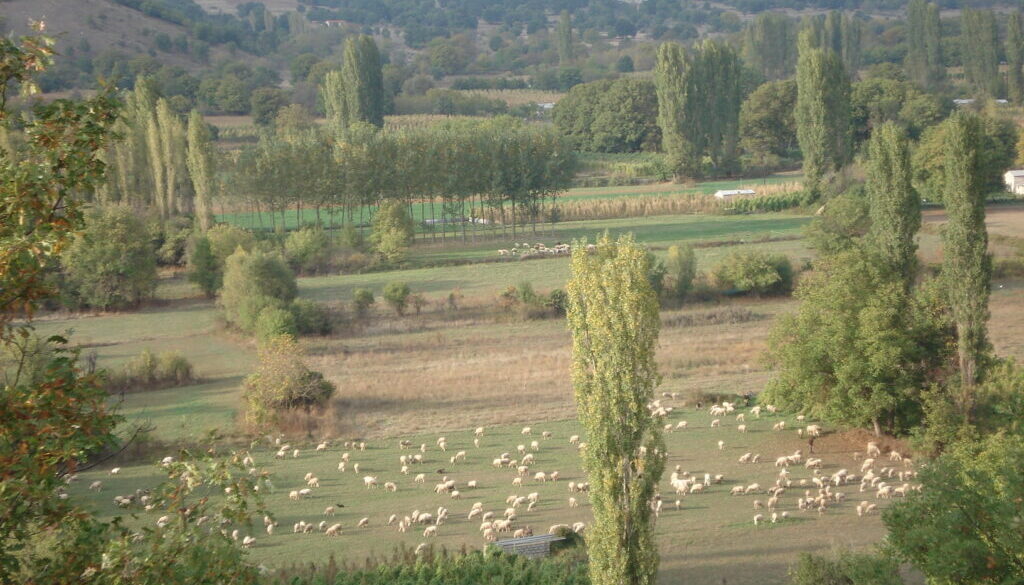 presence_of_trees_crops_and_animals_in_mountainous_agroforestry_systems_of_northern_greece