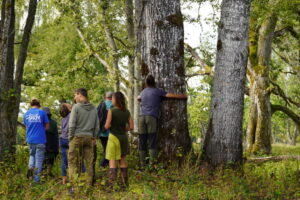 Erasmus+ project "Unhide Agroforestry: Latvia - Sweden Agroforestry Knowledge Exchange