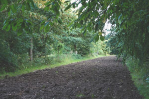 Suffolk organic agroforestry, food, horticulture hub 'Wakelyns'