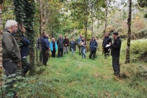 Irish Agroforestry Forum