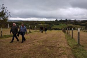 Irish Agroforestry Forum