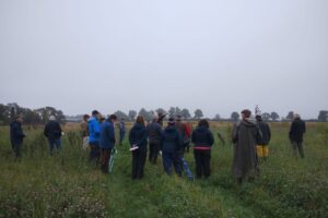 Irish Agroforestry Forum