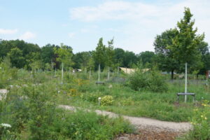 Urban forest garden in Berlin