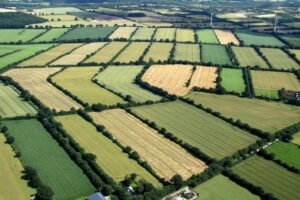 Hedges framing fields, so called “Knicks” in northern Germany