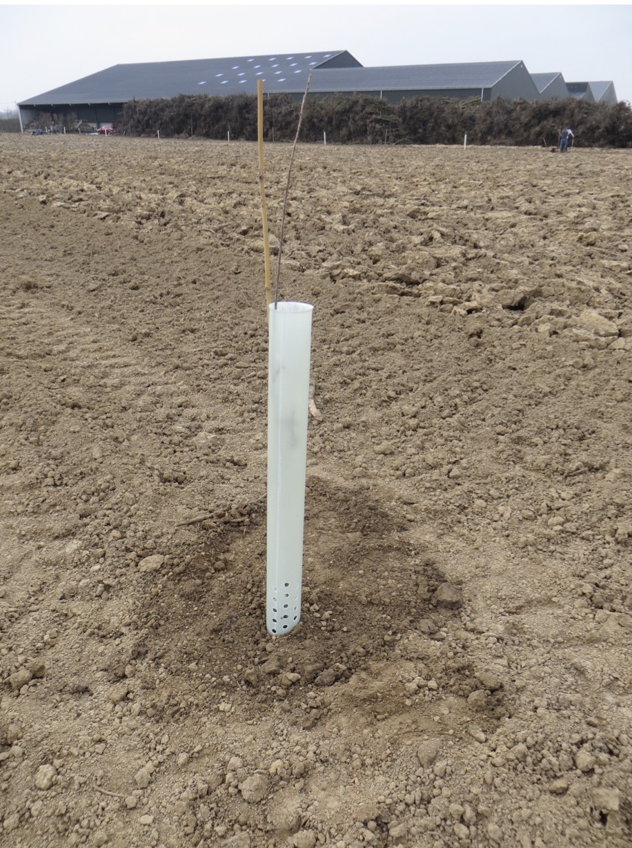 Agroforestry initiatives in Flanders (Belgium) Agroforestry initiatives in Flanders (Belgium)