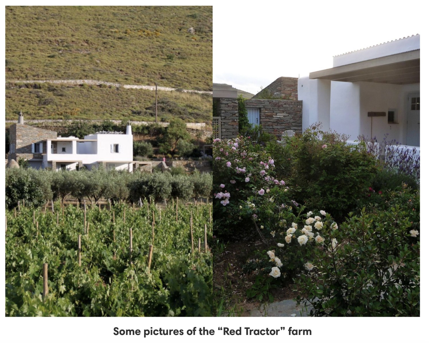 “Red Tractor Farm”, Greece