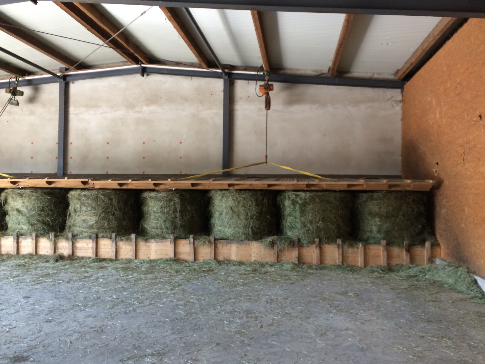 Innovative business concept of an organic farm with agroforestry system – Biolandhof Braun, Freising, Germany Innovative business concept of an organic farm with agroforestry system – Biolandhof Braun, Freising, Germany