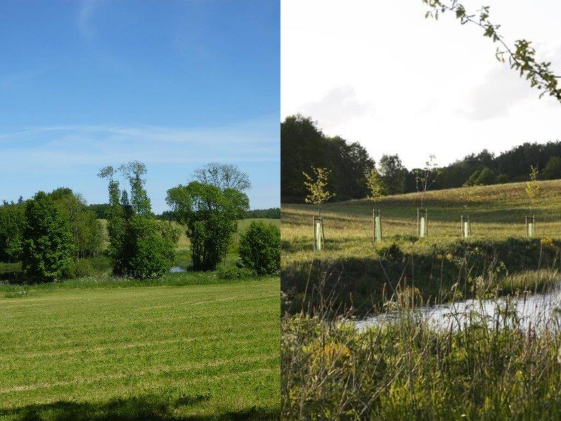 Buffer system established around marshy areas and water reservoirs Buffer system established around marshy areas and water reservoirs