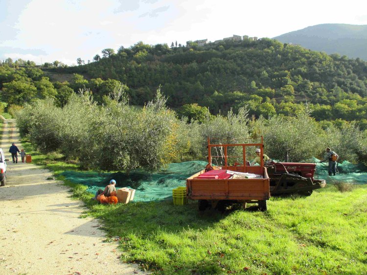 Località il Piano, Italy Località il Piano, Italy