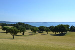 Oak agro-silvo-pastoral system near Bolsena Lake, Italy