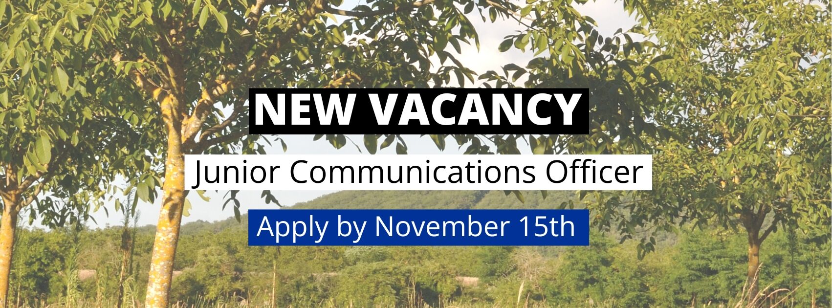 Junior Communications Officer