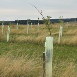 Ekrano kopija 2025-11-10 125813