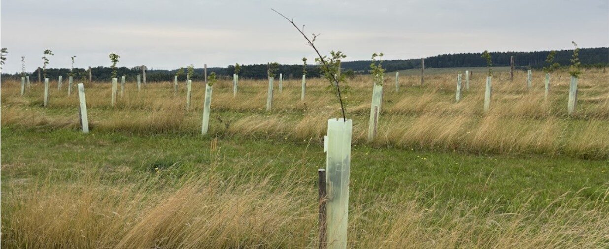 Ekrano kopija 2025-11-10 125813