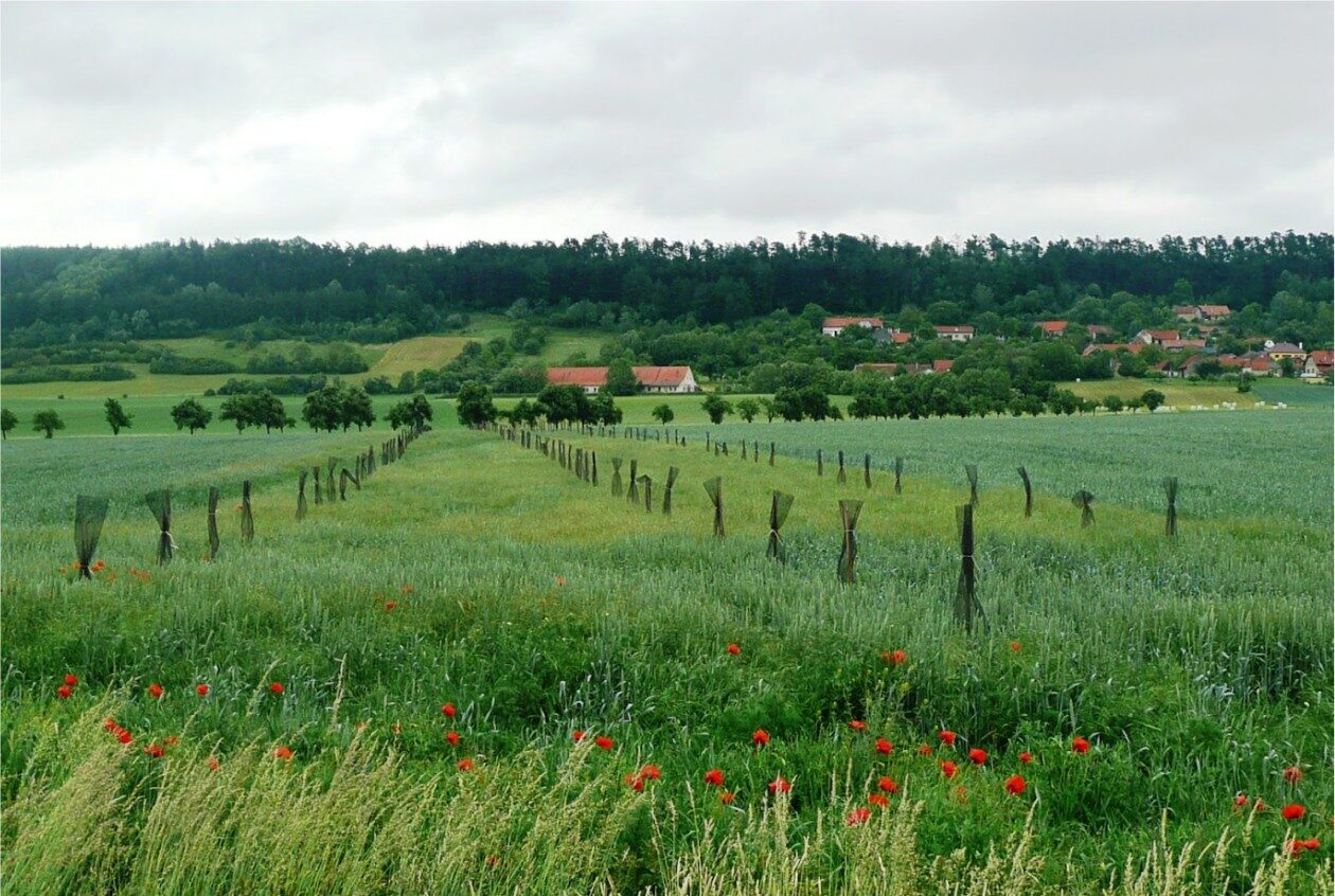 Ekrano kopija 2025-11-10 134742