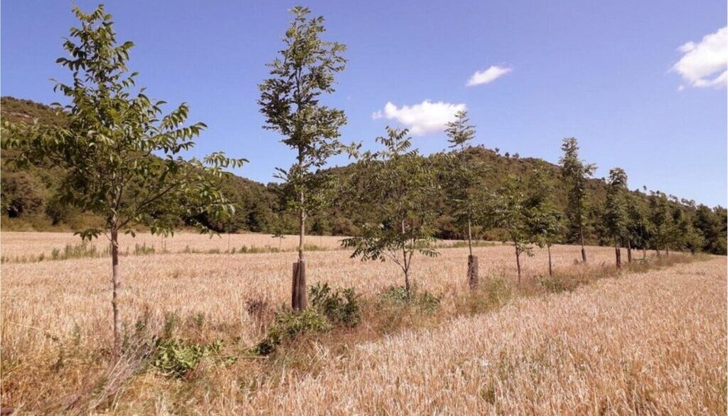 Ekrano kopija 2025-11-27 142459