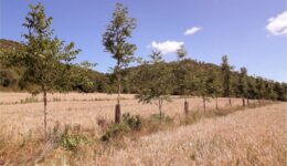 Ekrano kopija 2025-11-27 142459