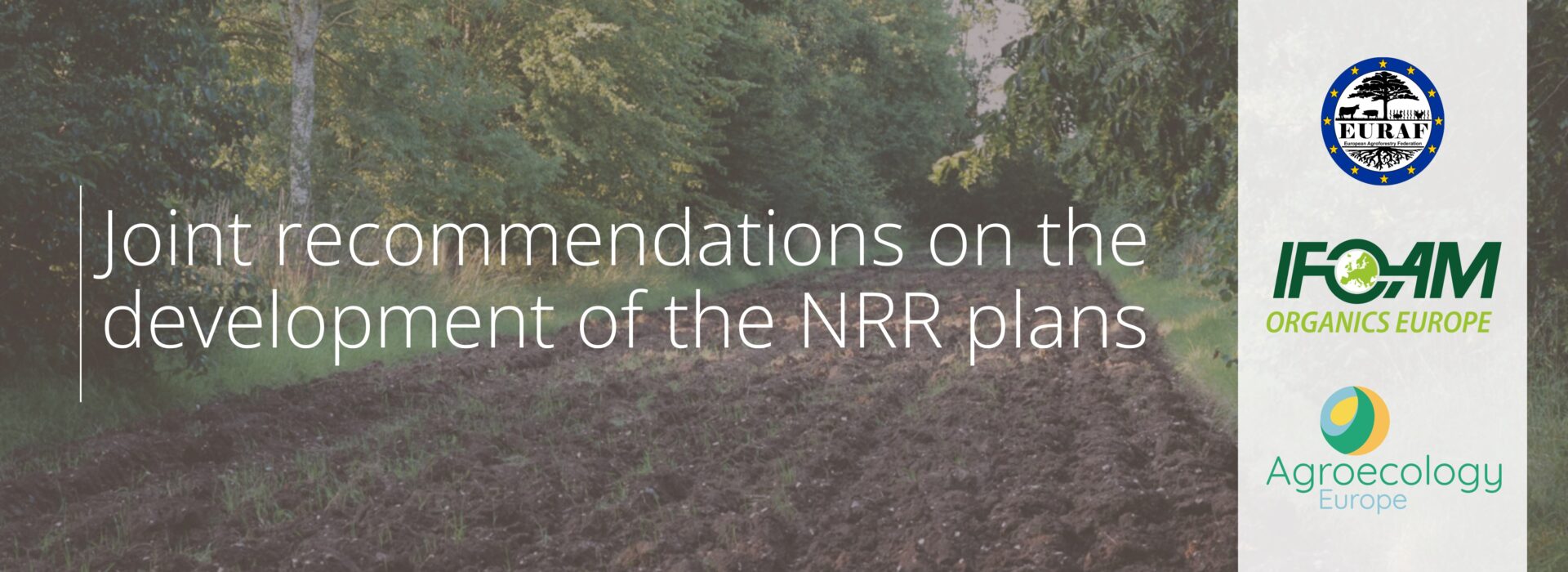 key allies in achieving the objectives of the Nature Restoration Regulation (3)
