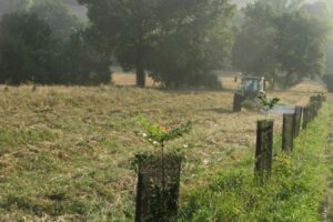 Paysage agroforestier (c)AFAF (2)