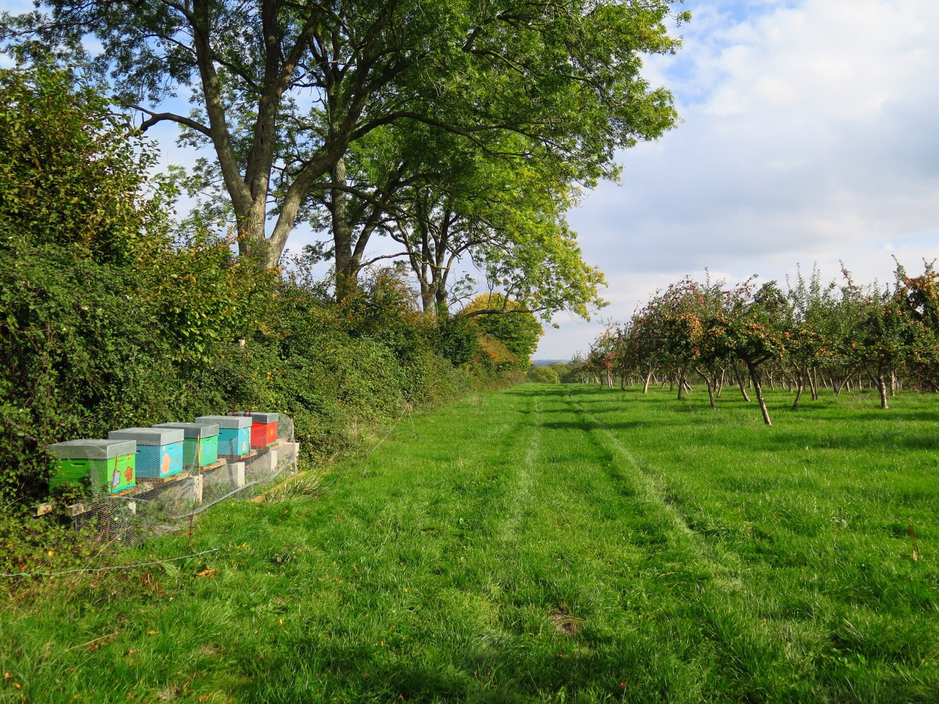 Figure 1. Verger Ferme Merval (c)AFAF