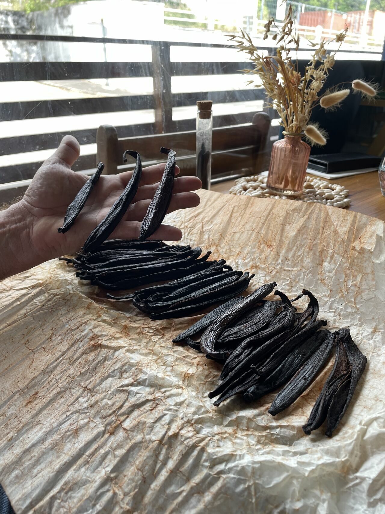 présentation vanille Guadeloupe (c)AFAF