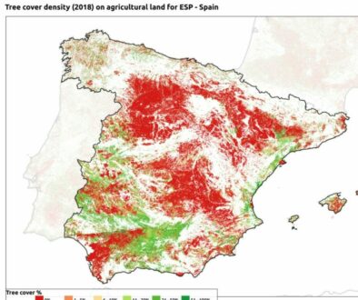 Agroforestry in Spain (Instagram)(1)