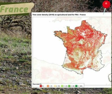 Agroforestry in France (Facebook)