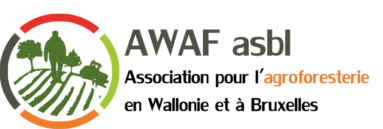 AWAF, the Association for the Promotion of Agroforestry in Wallonia and Brussels, is a non-profit organisation that aims to defend and promote the alliance of the tree and the field: agroforestry. Through visits, exchanges and working groups, development projects, conferences, AWAF wishes to reinforce the presence of the diversity of agroforestry techniques in agricultural practices to strengthen the multifunctionality of agrosystems and to perpetuate soil health.