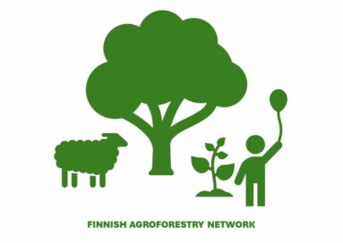 The Finnish Agroforestry Network brings together farmers, forest managers, researchers, teachers, advisors, students and others committed to sustainable land use. Our aim is to promote agroforestry, share knowledge and inspire a new generation of land stewards who recognise the benefits of integrating trees into agricultural systems and managing forested areas in diverse and sustainable ways.