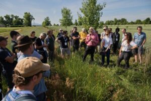 7th European Agroforestry Conference, Brno, CZE 7th European Agroforestry Conference, Brno, CZE