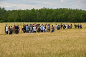 7th European Agroforestry Conference, Brno, CZE 7th European Agroforestry Conference, Brno, CZE