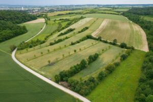 7th European Agroforestry Conference, Brno, CZE 7th European Agroforestry Conference, Brno, CZE