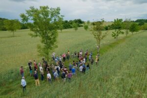 7th European Agroforestry Conference, Brno, CZE 7th European Agroforestry Conference, Brno, CZE